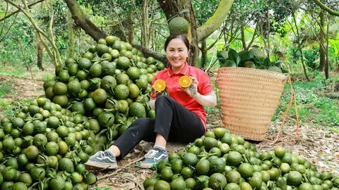 Video ngắn – Giải pháp truyền thông thông minh cho doanh nghiệp nhỏ_Làm video ngắn trên điện thoại