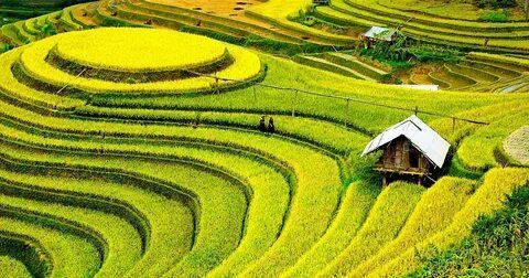 Video ngắn – Giải pháp truyền thông thông minh cho doanh nghiệp nhỏ_trung tâm đào tạo video
