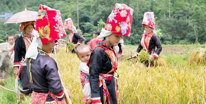 Cách Khởi Nghiệp Kiếm Tiền Bán Thời Gian Dành Cho Người Mới