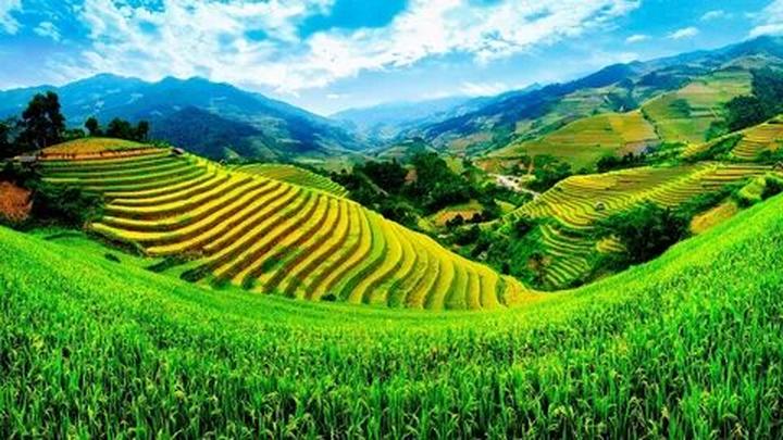 Hotspot Matrix – Kết thúc hành trình 3 ngày rực rỡ tại SECC 2025_dịch vụ chỉnh sửa video cho doanh nghiệp nhỏ
